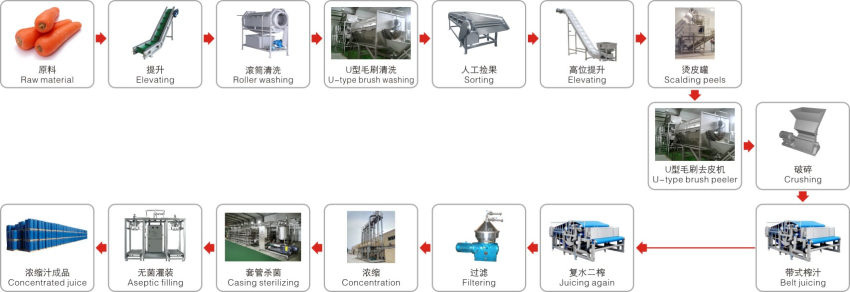 胡蘿卜果汁生產工藝_副本.jpg