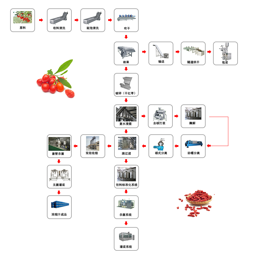 枸杞加工生產線流程圖.jpg